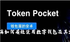 全面解析：在上海如何有效使用数字钱