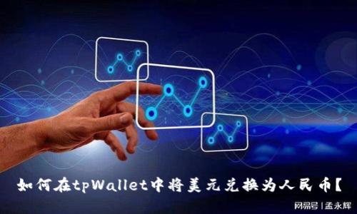 如何在tpWallet中将美元兑换为人民币?