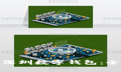 如何正确使用美团深圳数字钱包:全面解析与定位策略