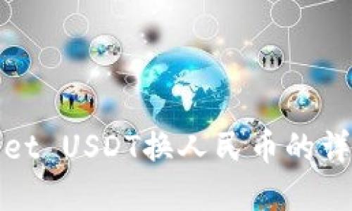tpWallet USDT换人民币的详细教程