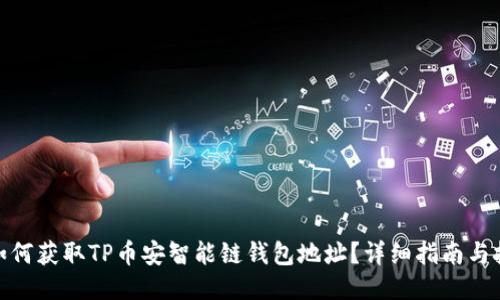 : 如何获取TP币安智能链钱包地址?详细指南与技巧