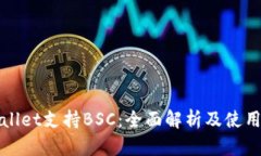 tpWallet支持BSC：全面解析及使用指南