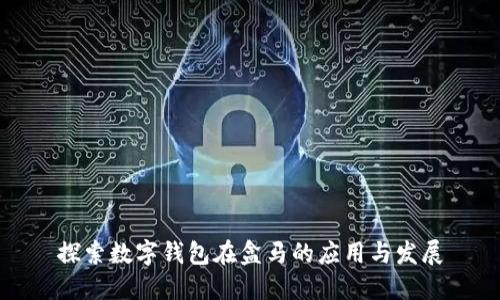 探索数字钱包在盒马的应用与发展