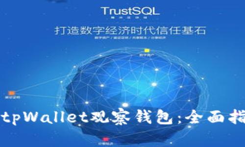 如何使用tpWallet观察钱包:全面指南与技巧