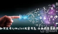 如何使用tpWallet观察钱包：全面指南与
