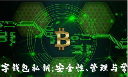   
全面了解数字钱包私钥：安全性、管理与常见问题解析