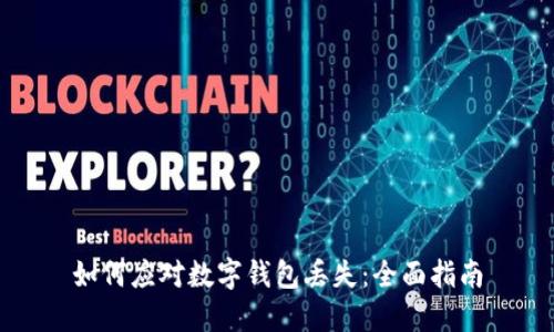 如何应对数字钱包丢失:全面指南