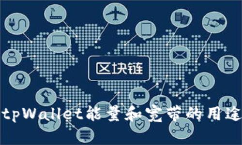 深入了解tpWallet能量和宽带的用途与重要性