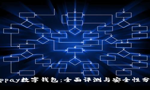 vippay数字钱包:全面评测与安全性分析