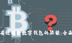 如何有效提升数字钱包的限额：全面指