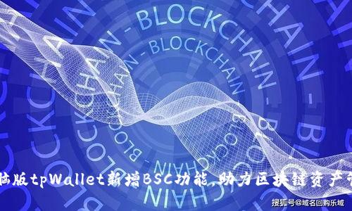 电脑版tpWallet新增BSC功能,助力区块链资产管理