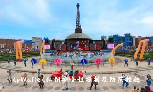 tpWallet私钥安全性分析及防范措施