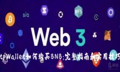 tpWallet如何购买BNB：完整指南和实用技