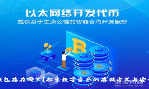 数字钱包存在哪里?探索数字资产的存储方式与安全保障