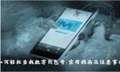 如何轻松查找数字钱包号：实用指南及