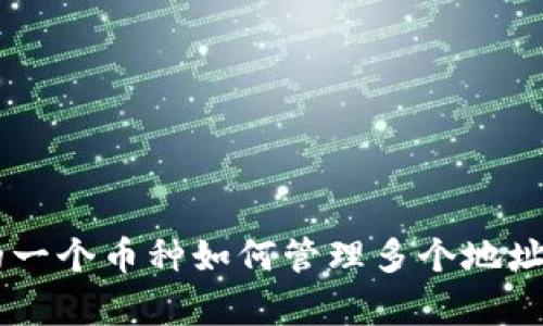 tpWallet的一个币种如何管理多个地址?详解与应用