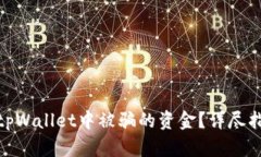: 如何追回在tpWallet中被骗的资金？详