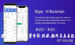 区块链钱包政策背景分析：现状、挑战