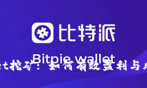 tpWallet挖矿: 如何有效盈利与风险分析