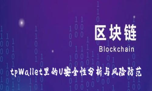 tpWallet里的U安全性分析与风险防范