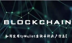 如何使用tpWallet查询币种大户信息？