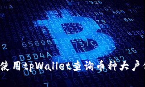 如何使用tpWallet查询币种大户信息?