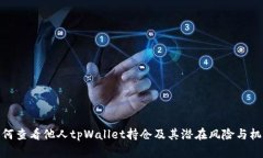 如何查看他人tpWallet持仓及其潜在风险