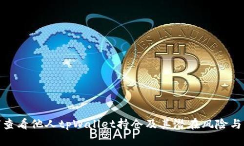 如何查看他人tpWallet持仓及其潜在风险与机遇