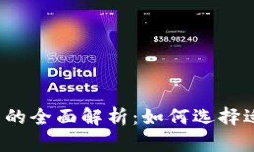 汇付支付数字钱包的全面解析：如何选择适合你的数字钱包？
