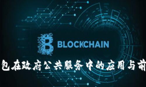 数字钱包在政府公共服务中的应用与前景分析