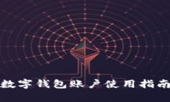 : 农业银行数字钱包账户使用指南与优