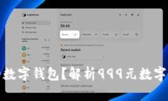 如何选择最适合的数字钱包？解析99