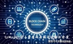 tpWallet矿工费贵的原因及其解决方案