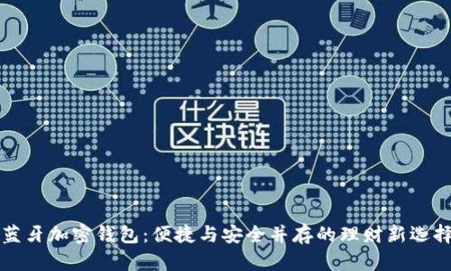 蓝牙加密钱包:便捷与安全并存的理财新选择