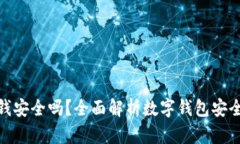 数字钱包里的钱安全吗？全面解析数字