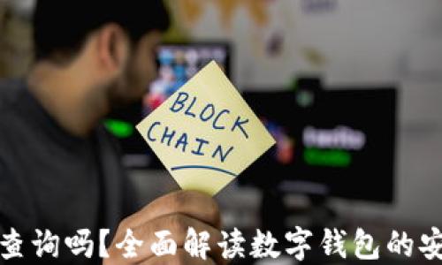 数字钱包能查询吗?全面解读数字钱包的安全性与功能