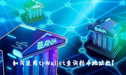 如何使用tpWallet查询持币地址数?