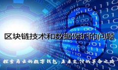 探索马云的数字钱包：未来支付的革命