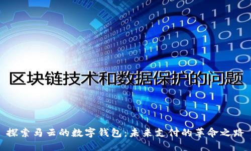探索马云的数字钱包:未来支付的革命之路