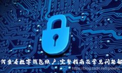 如何查看数字钱包账户：完整指南及常