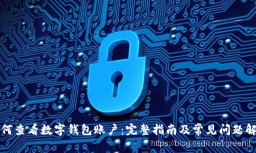 如何查看数字钱包账户:完整指南及常见问题解答