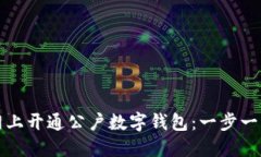 如何网上开通公户数字钱包：一步一步