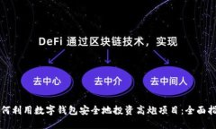 如何利用数字钱包安全地投资高炮项目