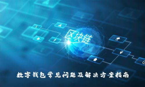 数字钱包常见问题及解决方案指南
