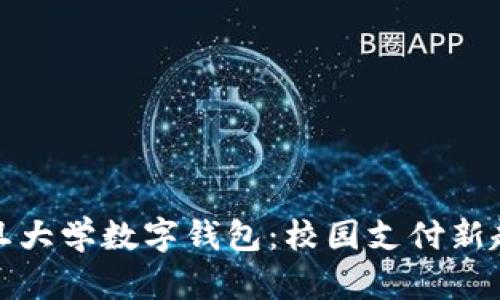 复旦大学数字钱包：校园支付新趋势