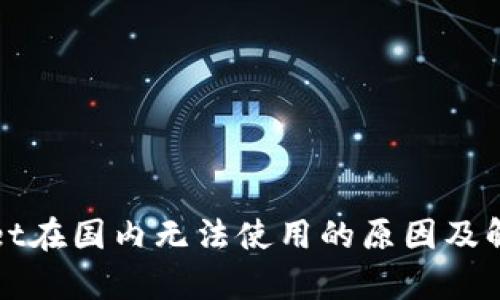 tpWallet在国内无法使用的原因及解决方案