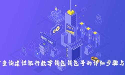 如何查询建设银行数字钱包钱包号的详细步骤与指南