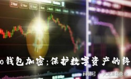  14Pro钱包加密：保护数字资产的终极指南