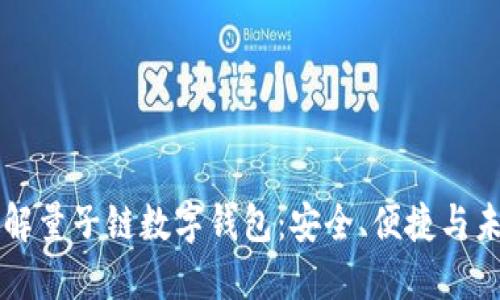 深入了解量子链数字钱包：安全、便捷与未来展望