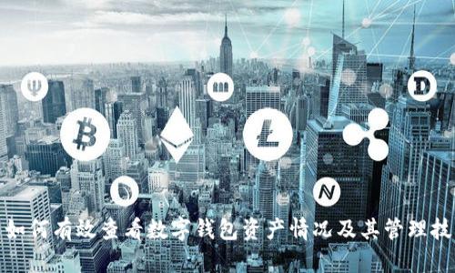 : 如何有效查看数字钱包资产情况及其管理技巧